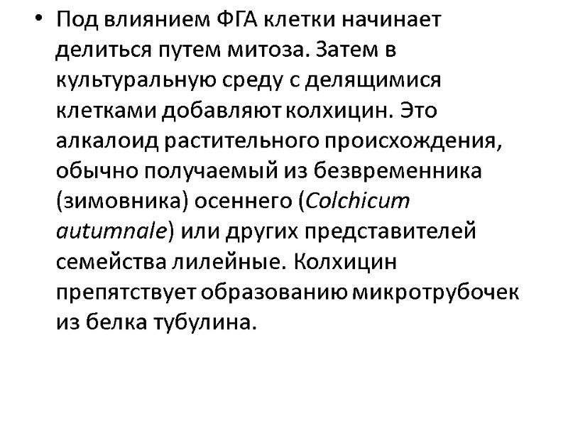 Под влиянием ФГА клетки начинает делиться путем митоза. Затем в культуральную среду с делящимися